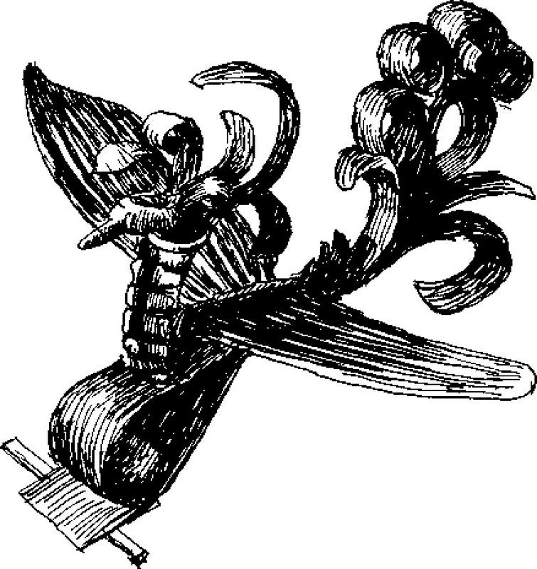 Волшебная птица (эндур гасани – нан.). Кости рыбы, птицы, древесные стружки