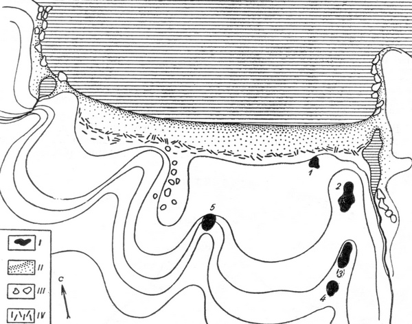 План бухты Сарычева (Окладников, Береговая, 1971). I – жилища; II – песок; III – камни; IV – плавник