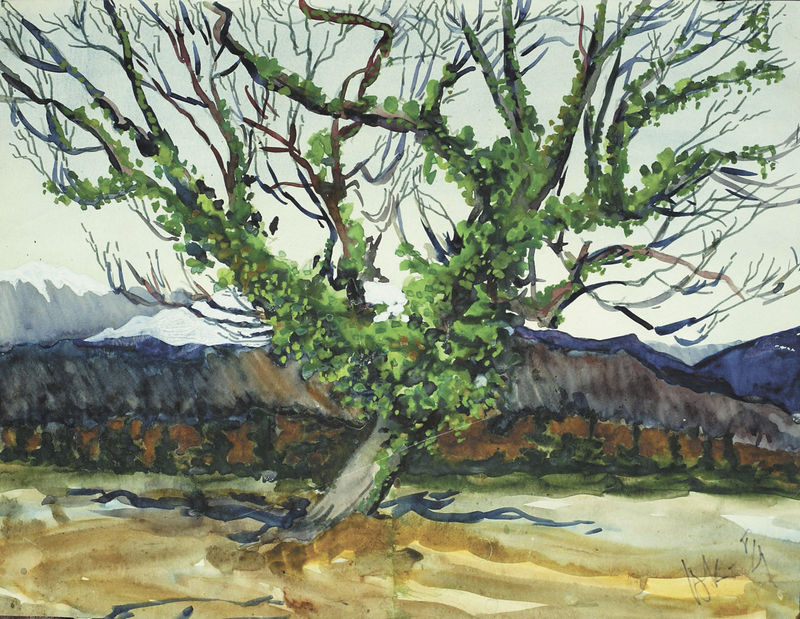 Дерево. Пицунда. 1987