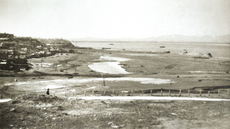 Начало. Вид с Казачьей горы. 1955